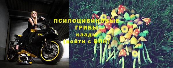 амф Белоозёрский