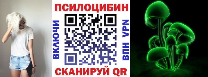 OMG рабочий сайт  Гусев  Псилоцибиновые грибы GOLDEN TEACHER  магазин  наркотиков 
