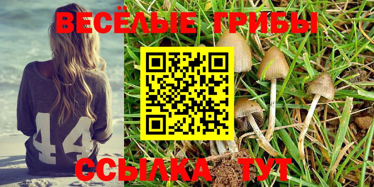 Гусев  Галлюциногенные грибы Magic Shrooms  Вход с VPN  Псилоцибиновые грибы Cubensis 