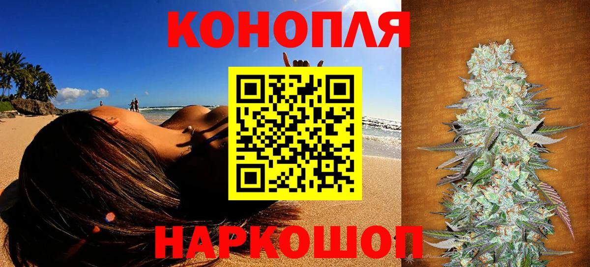 Канабис OG Kush Гусев